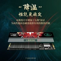 梵想（FANXIANG）1TB SSD固态硬盘 M.2接口(NVMe协议)台式机笔记本电脑适用 S500系列 TLC颗粒