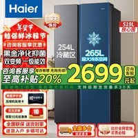 海尔（Haier）【补贴20%】冰箱-519WLHSSEDX9升大冷冻室双开门冰箱超薄巨能冻对开风冷无霜一级双变频小冷藏冰箱 【大冷冻巨能冻】BCD-519WLHSSEDX9