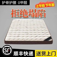 渺帆学生床垫90x200硬棕垫椰棕家用卧室护脊棕榈乳胶儿童棕垫可定制榻 #约6cm厚/偏硬款/顺风到家） 800mm*1900mm