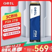 GEIL金邦 2TB SSD固态硬盘 M.2接口PCIe 3.0（NVMe协议）台式机笔记本硬盘 高速3000MB/S P3A系列