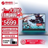 机械革命极光X 2024新品Pro游戏本 旗舰酷睿i7HX 满血4060/4070 旷世G16pro学生极光16设计笔记本电脑 新旗舰极光酷睿HX/4060满功耗/165Hz 升级推荐:16G内存+1