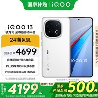 iQOO 13 【国家补贴】16GB+512GB 传奇版 骁龙8至尊版 2K护眼屏 120W快充长续航 5G电竞手机