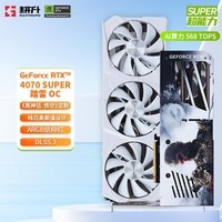 耕升（GAINWARD）GeForce RTX 4070 SUPER 踏雪 黑神话悟空联名款显卡 台式机电脑游戏独立显卡 DLSS 3 技术 RTX4070 SUPER 踏雪OC 联名款