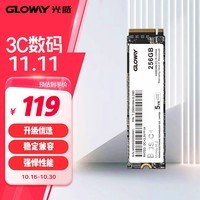 光威（Gloway）256GB SSD固态硬盘 M.2接口(NVMe协议) PCIe 3.0x4 Basic+系列