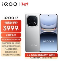 iQOO 13 12GB+256GB 纳多灰 骁龙8至尊版 自研电竞芯片Q2 长续航快充 5G电竞手机 政府补贴