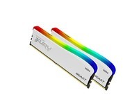 金士顿 (Kingston) FURY 32GB(16G×2) DDR4 3200 台式机内存条 Beast野兽系列 RGB灯条 特别版 骇客神条