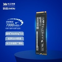 致态（ZhiTai）长江存储 4TB SSD固态硬盘 NVMe M.2接口 Ti600系列 (PCIe 4.0 产品)