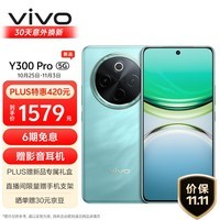 vivo Y300 Pro 8GB+256GB 金镶玉 6500mAh超薄蓝海电池 全等深微四曲屏 SGS五星抗摔认证 AI 拍照 手机