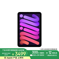 Apple/苹果 iPad mini (A17 Pro) 8.3英寸 2024年新款平板电脑(128G eSIM版/MXQ33CH/A)紫色