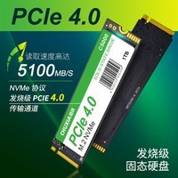 储侠2TB SSD固态硬盘M.2接口PCIe4.0兼容PCIe3.0读速5000MB/S NVMe 台式机笔记本游戏办公通用存储硬盘 【512GB】长江晶圆升级版