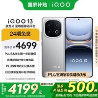 iQOO 13 【国家补贴】16GB+512GB 纳多灰 骁龙8至尊版 2K护眼屏 120W快充长续航 5G电竞手机