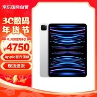 Apple iPad Pro 11Ӣƽ 2021 256GB WLAN ɫ ԭ δ ƻ֤ ֧ȫ