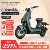 绿源（Luyuan）LIVA7豪华版新国标电动自行车48V24Ah锂电代步轻便电瓶车 liva7锂电 岩绿