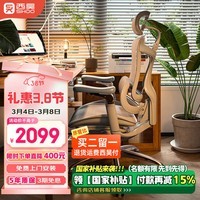 西昊Doro C300二代 人体工学椅电脑椅子办公椅人工力学座椅久坐电竞椅