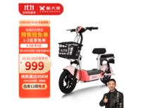 PALLA电动车铅酸电池48V12Ah轻便成人代步车两轮新大洲电动自行车 Q1 /Q1 Plus Q1 48V12A 铅酸 粉色