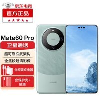 华为 Mate 60 Pro 【24期|白条可选】  华为手机 mate 60 pro 遥遥领先 雅川青 12GB+512GB【鸿蒙系统】