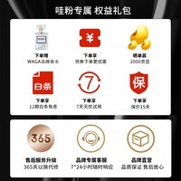 WAGAWAGA开放式OWS真无线蓝牙耳机 Brava骨传导升级气传导挂耳式不入耳运动舒适圈哇嘎waga耳机 布鲁克林