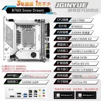 精粤B760i ITX主板双M.2 2.5G网卡RGB1700针12代13代12100/12400F 精粤B760I Snow Dream 主板