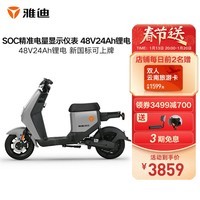 雅迪电动车新款DE2新国标电动自行车长续航电瓶车 DE2-100S灰48V24AH锂电池