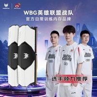 宏碁掠夺者(PREDATOR)32G(16G×2)套 DDR4 3600频率 台式机内存条 Talos 雷霆战甲系列(C16)B-die颗粒