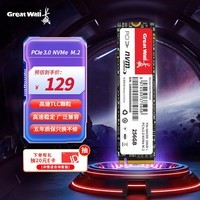 长城（Great Wall）256GB SSD固态硬盘 M.2接口(NVMe协议)PCIe 3.0x4 GW3300系列