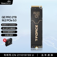 十铨科技GE Pro固态硬盘SSD 2TB 4TB M.2 NVMe PCIe Gen5x4 读速14000MB/s石墨烯散热片 独立缓存 锁定主控 【TLC】2TB PCIe5.0 石墨烯散热+风冷