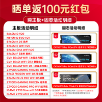 七彩虹(Colorful) SSD固态硬盘 M.2接口 (NVMe协议)PCIe3.0 TLC颗粒 CN600 512G【带DDR缓存】