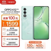 OPPO K12 5G 12GB+256GB 青云 100W+5500mAh续航组合 第三代骁龙7旗舰芯 直屏新款游戏智能学生 AI手机