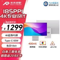 RICHVISION未来视野 23.8英寸4K超清IPS显示器果粉屏 Type-C 65W 10bit 专业设计电脑屏幕 RV100mini冰河银