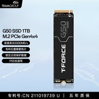 十铨科技G50 SSD固态硬盘1T 2T M.2 NVMe PCIe4.0 2280 台式笔记本ps5 读速5000MB/s石墨烯散热片 锁定主控 【TLC】1TB PCIe4.0 石墨烯散热片