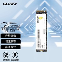 Gloway2TB SSD̬Ӳ M.2ӿ(NVMeЭ) PCIe 4.0x4 洢 Ķϵ װ