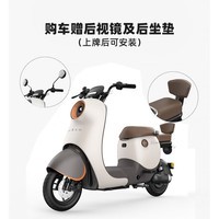 绿源（Luyuan）电动车成人新款DQ-MODA2锂电池新国标电动自行车超长续航电瓶车 【48V20Ah锂电池】卡其棕