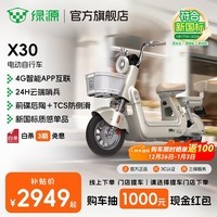 绿源【门店自提】X30 电动自行车 长续航新新国标电动车可上牌 成人通勤代步电瓶车 到门店选颜色