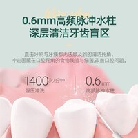 博皓(prooral)冲牙器家用便携洗牙器冲洗器水牙线正畸专用牙齿洁牙器除牙垢清理神器 口腔护理工具 F27 白色【200ml水箱】