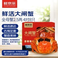 【活蟹】鲜京采鲜活大闸蟹 全母蟹2.5两 4对8只 去绳足重 蟹类生鲜螃蟹礼盒