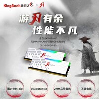 金百达（KINGBANK）64GB(32GBX2)套装 DDR5 6000 台式机内存条海力士M-die颗粒 白刃RGB灯条 C36 适配黑神话悟空