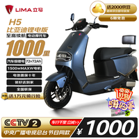 立马电动摩托车【央视推荐】H5千里马高速续航207公里72V72AH比亚迪汽车级锂电池电动车 海岸灰