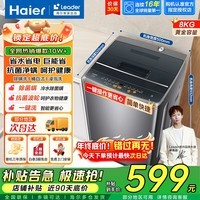 海尔（Haier）波轮洗衣机全自动大神童8/10公斤洗脱一体机抗菌除螨直驱变频出租房家用宿舍家电补贴以旧换新 8公斤波轮抗菌+一件速洗+桶自洁+强力洗+智能洗涤