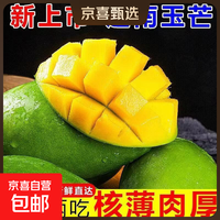 新鲜当季正宗越南玉芒果新鲜芒果青皮热带薄皮水果季 绿色 大青金煌芒200克+带箱2斤（净重1.7斤）