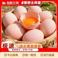 鲜鸡蛋谷物鲜鸡蛋50克农家蛋溏心蛋溏心蛋 谷物土鸡蛋50g*20枚