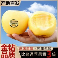 秦悦仙果鲜正宗山东黄金维纳斯苹果水果奶油新鲜整箱送礼品物盒清明节 净重4.5斤【单果160g+】丨很甜