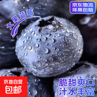 国产云南蓝莓超大果 孕妇新鲜水果精选酸甜蓝莓 4盒装 多买多划算【70-90g/盒】 中果【单果15mm+】