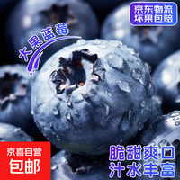 国产云南酸甜新鲜蓝莓超大果【JD快递速运】 孕妇水果精选蓝莓 4盒装 多买多划算【70-90g/盒】 中果【单果15mm+】