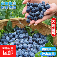 国产云南酸甜蓝莓超大果 孕妇精选蓝莓新鲜水果 4盒装 多买多划算【70-90g/盒】 中果【单果15mm+】