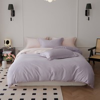 AIDLI 床上四件套纯棉100S新疆长绒棉纯色全棉双人套件 鸢尾紫 1.5/1.8m床 床单款 （被套200*230cm）