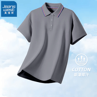 真维斯(Jeanswest)2026新款短袖T恤男士polo衫春夏季宽松休闲商务翻领衣服男装 灰色 2XL (建议130-150斤)