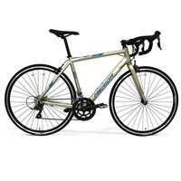 美利达（MERIDA）SHADOW幻影2  16速 公路自行车 美银金 700*44CM(建议身高145-160CM)