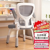 依恋达人体工学椅子电脑椅可升降办公椅学生学习靠背椅家用久坐宿舍座椅 灰色 档位升降 承重500斤