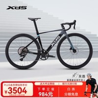 喜德盛公路车25-AD350碳纤前叉功率计齿盘铝合金气动车架 鸽子灰 510