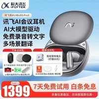 科大讯飞录音降噪会议耳机iFLYBUDS Pro2/Pro3蓝牙耳机翻译耳机 无线降噪 入耳式会议纪要 录音转文字 【热销新款】讯飞耳机Pro3-星辰灰